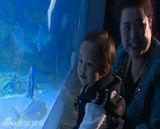 组图：贾乃亮为博女儿一笑 表演潜水险晕倒