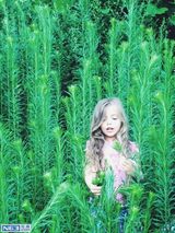 组图：大眼萝莉姐妹走红 写真妈妈掌镜精致如画