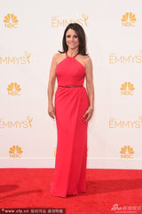 组图：茱莉亚-路易斯-德瑞弗斯亮相红毯