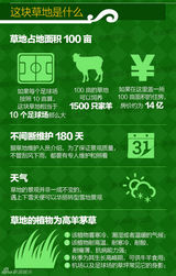 [有料]《一步之遥》姜文总裁草地广告观赏指南