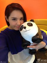 组图：千只纸熊猫空降香港 众星卖萌合影倡环保