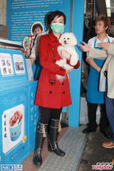 组图：江美仪激光去斑带口罩 望带爱狗去旅游