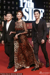 组图：蔡少芬亮相红毯 豹纹透视礼服性感魅惑