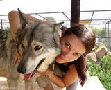 组图：女记者亲密接触动物 和狼接吻与豹同眠