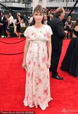 组图：女星阿曼达-皮特携老公亮相艾美红毯