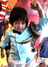 组图：Kimi五岁生日派对变昆虫课 勇敢手拿大蛇