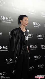 组图：张曼玉高圆圆同台出席活动