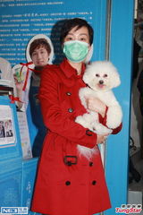组图：江美仪激光去斑带口罩 望带爱狗去旅游