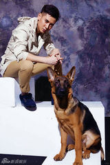 组图：韩栋携名犬拍摄写真 帅气硬朗展型男魅力