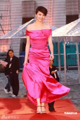 幻灯：香港金像奖颁奖红毯 梁咏琪桃红洋装显高贵