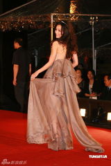 幻灯：香港金像奖颁奖红毯 张静初长裙飘逸