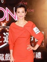 组图：李冰冰为华仔庆生献吻 赞刘嘉玲优秀