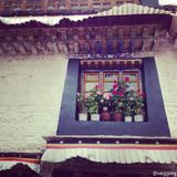 组图：王菲与小伙伴游西藏 晒美景羡煞网友