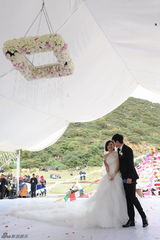 高清图：张杰谢娜香格里拉大婚全程回顾