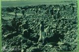 组图：《北上海1950》历史资料照片