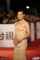 组图：陈冲优雅亮相金马红毯韵味饶人