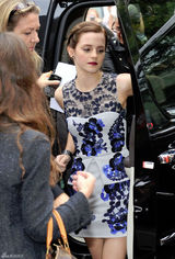 组图：《壁花少年》多伦多首映 妮娜与艾玛争艳