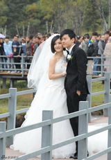 高清图：张杰谢娜香格里拉大婚全程回顾