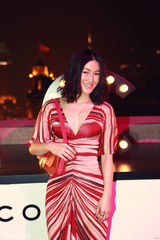 组图：张静初陈燃引领时尚热潮  复古长裙争奇斗艳