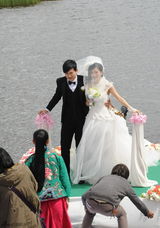 高清图：张杰谢娜香格里拉大婚全程回顾