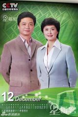 央视年历盘点 中坚力量白岩松撒贝宁崔永元(图)