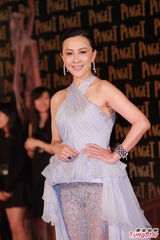 组图：刘嘉玲金像奖吸睛 透视裤装携手梁朝伟