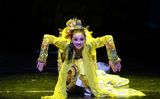 幻灯图：东方演艺集团舞蹈晚会精彩剧照