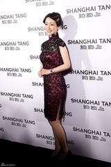 组图：秦海璐出席时尚秀 复古旗袍展现东方美