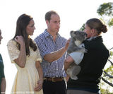 组图：凯特王妃摸考拉笑哈哈 考拉被吵醒显不悦