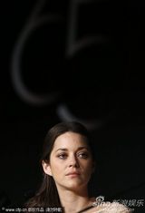 组图：《锈与骨》记者会 玛丽昂-歌迪亚展知性美