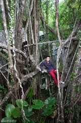 组图：翟天临情人节爱满巴厘游记 诠释极致浪漫