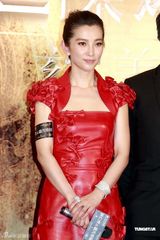 高清组图：《狄仁杰》慈善首映 刘德华巧对冲动影迷