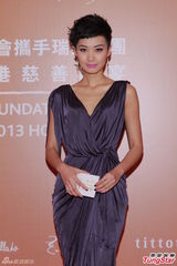 群星闪耀嫣然基金晚宴 王菲旗袍装与李亚鹏恩爱