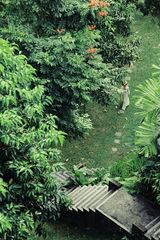 组图：张辛苑最新写真演绎田园淑女风