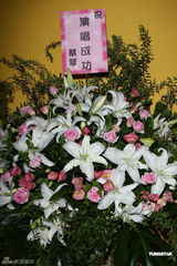 组图：林忆莲台北性感开唱 热情呼喊想歌迷