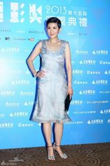 组图：第15届台北电影节颁奖典礼红毯群星争艳