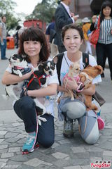 组图：林忆莲出席狗狗同乐日 陈嘉桓呼吁领养