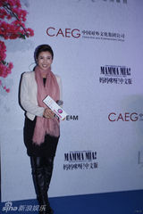 组图：众星观演《妈妈咪呀》 第三季变圣诞派对