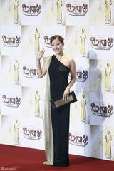 独家高清：李敏镐等亮相2013SBS演技大赏红毯