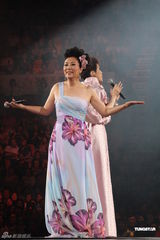 组图：汪明荃助阵关菊英演唱会 黄日华陈豪献唱