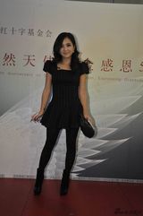 嫣然基金五周年慈善音乐会 王菲李亚鹏助阵(图)