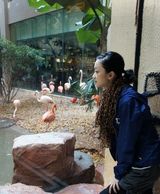 组图：张瑶走近大自然 享受与动物的亲密接触