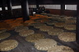 幻灯：《新少林寺》主推感情戏 成龙刘德华将对打