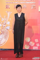 群星亮相金曲奖红毯 蔡依林美腿梁静茹性感(图)