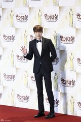 独家高清：李敏镐等亮相2013SBS演技大赏红毯