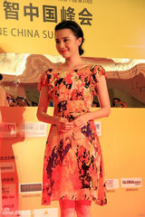 组图：小宋佳优雅阵公益 积极参与传递爱心行动