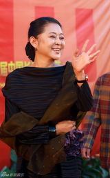 组图：赵本山师徒压轴长影节 倪妮优雅