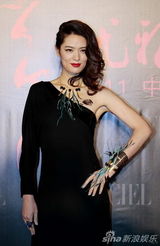 组图：优雅盛典水立方落幕 刘嘉玲巩俐红毯竞艳