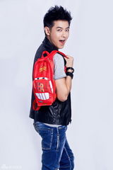 组图：2013年电视爱豆大评选“谁是你的神”