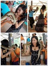 组图：平安女友朱洁静美图 温婉端庄